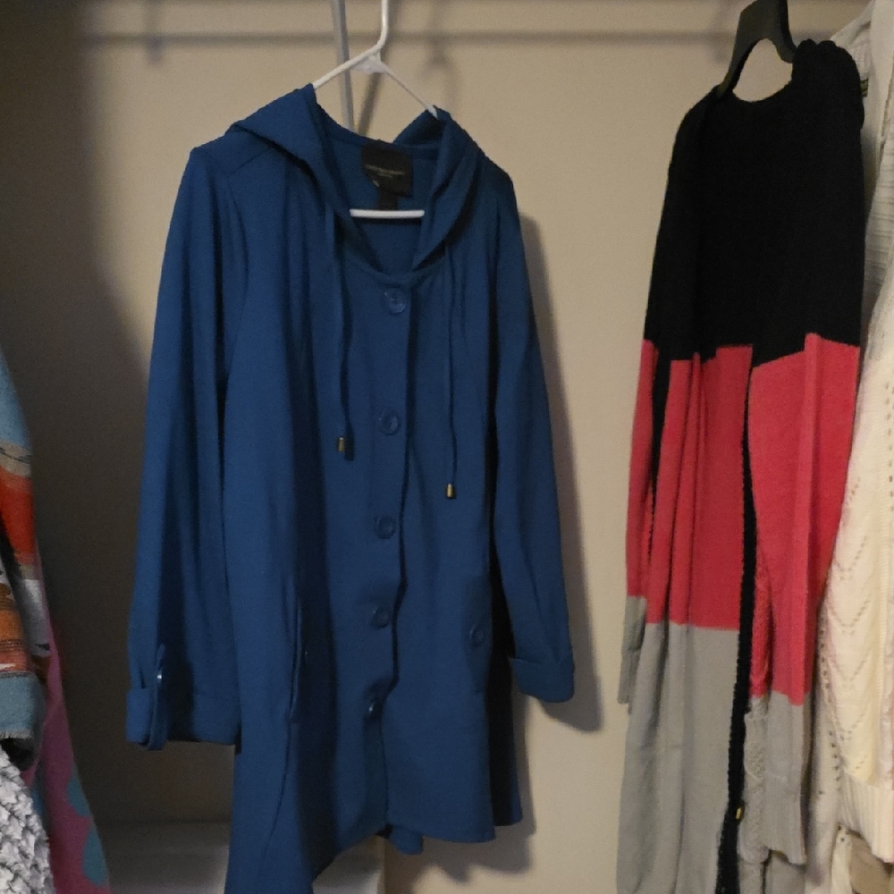 Christian Siriano Elegant Blue Garment